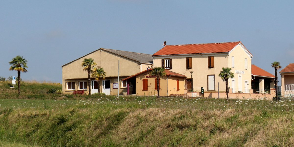 « Mes grands-parents me l'avaient raconté, c'étaient des vignes partout »